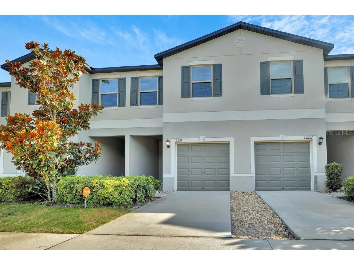 13231 Dupree Hills Place Riverview FL 33579 T3517394 image1