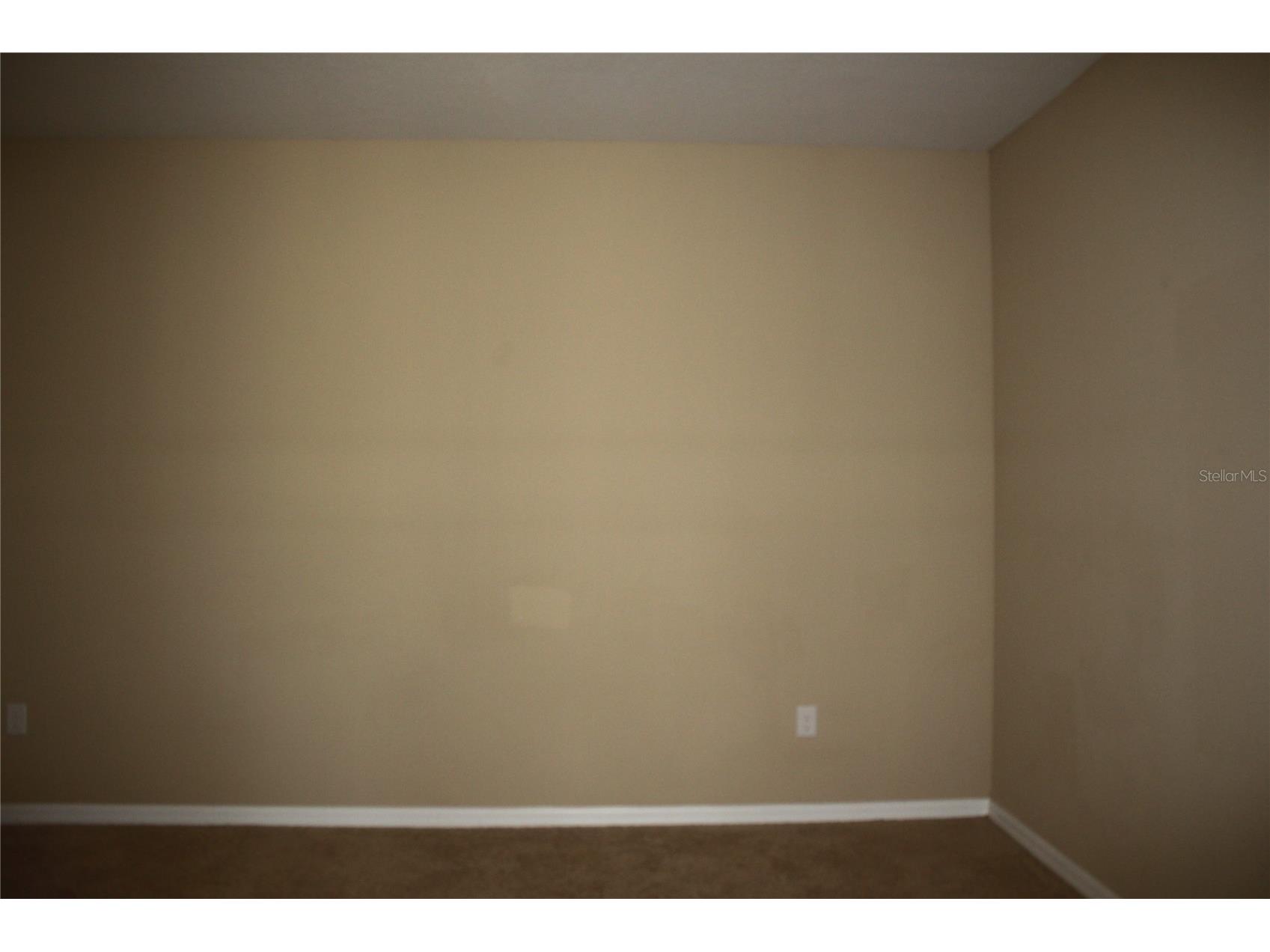 13231 Overstreet Road Windermere FL 34786 O6392297 image10