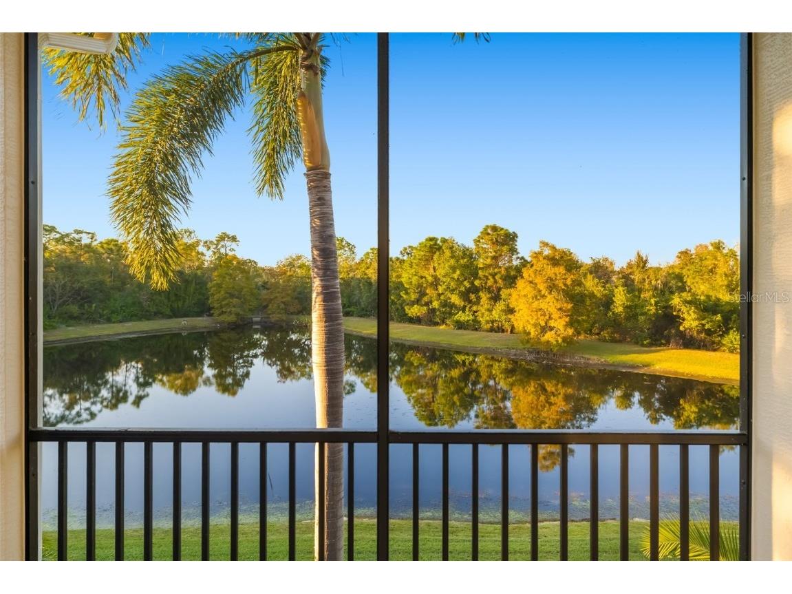 13231 Palmers Creek Terrace Lakewood Ranch FL 34202 A4672355 image50