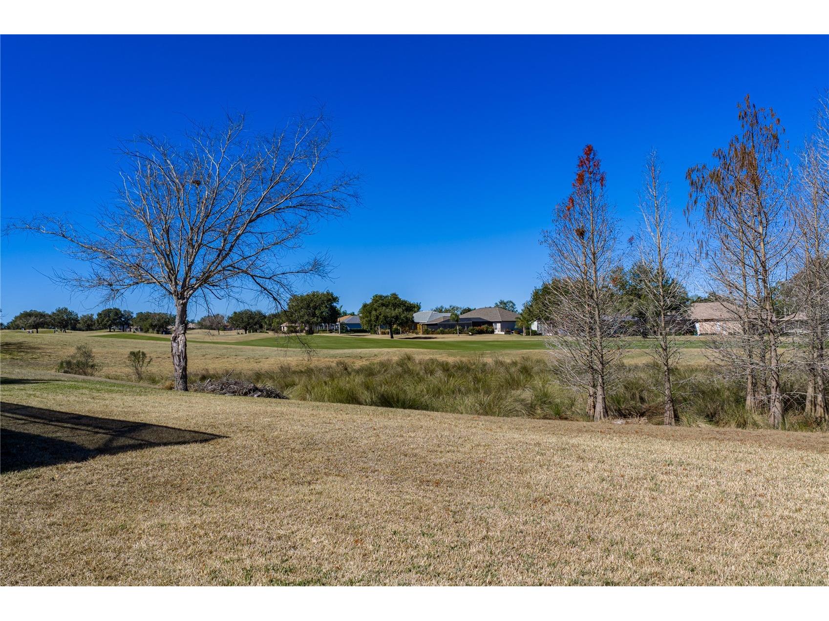 13231 Palmilla Circle Dade City FL 33525 TB8474103 image52