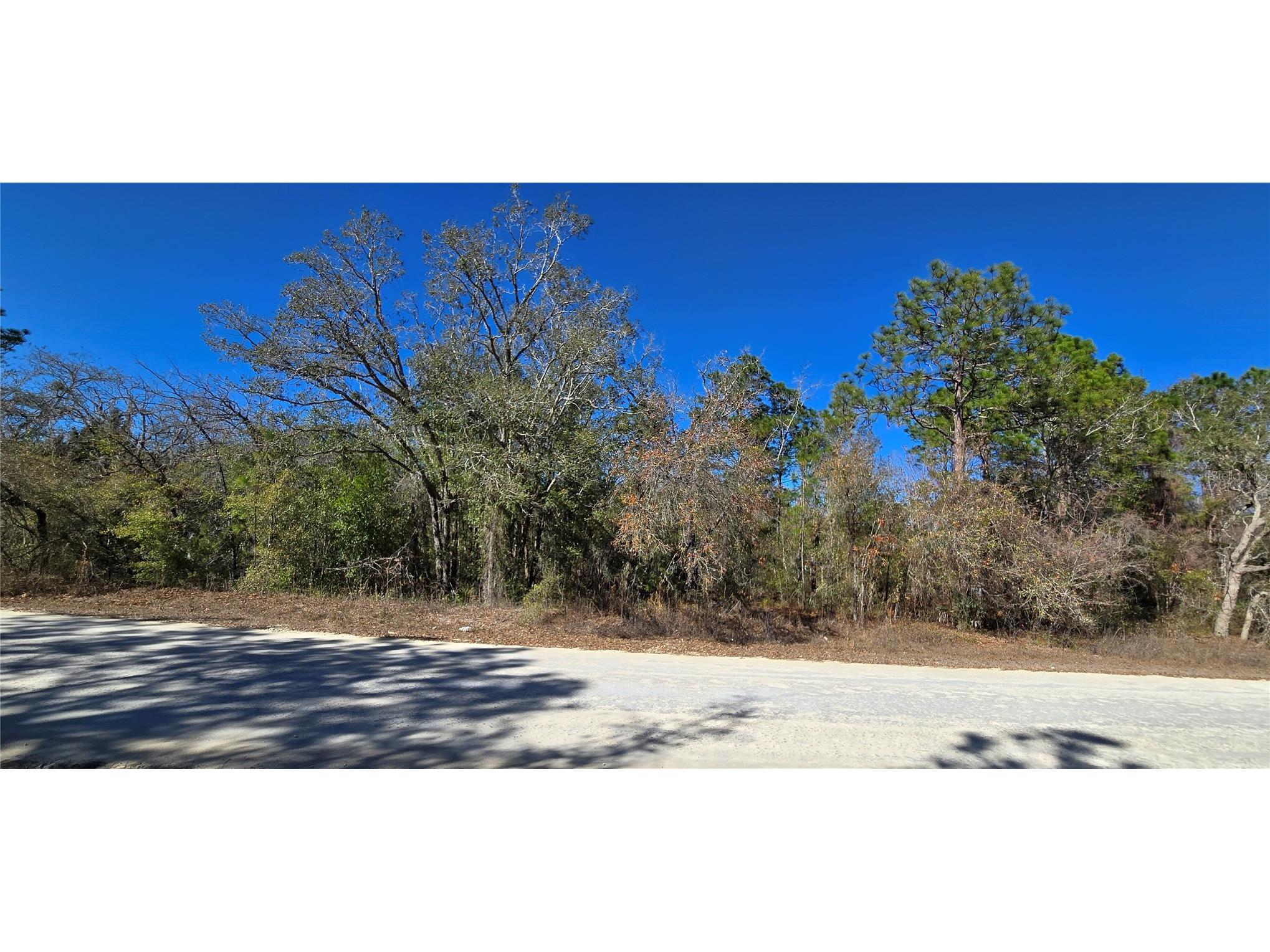 13231 Road Runner Avenue Weeki Wachee FL 34614 W7882487 image1