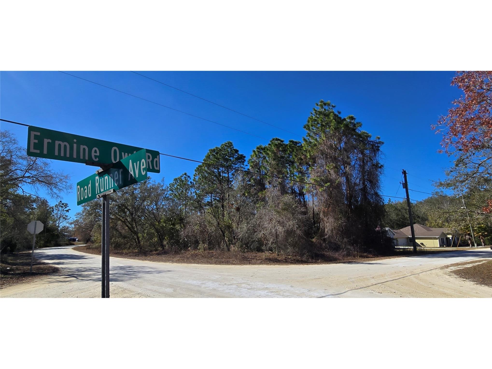 13231 Road Runner Avenue Weeki Wachee FL 34614 W7882487 image3