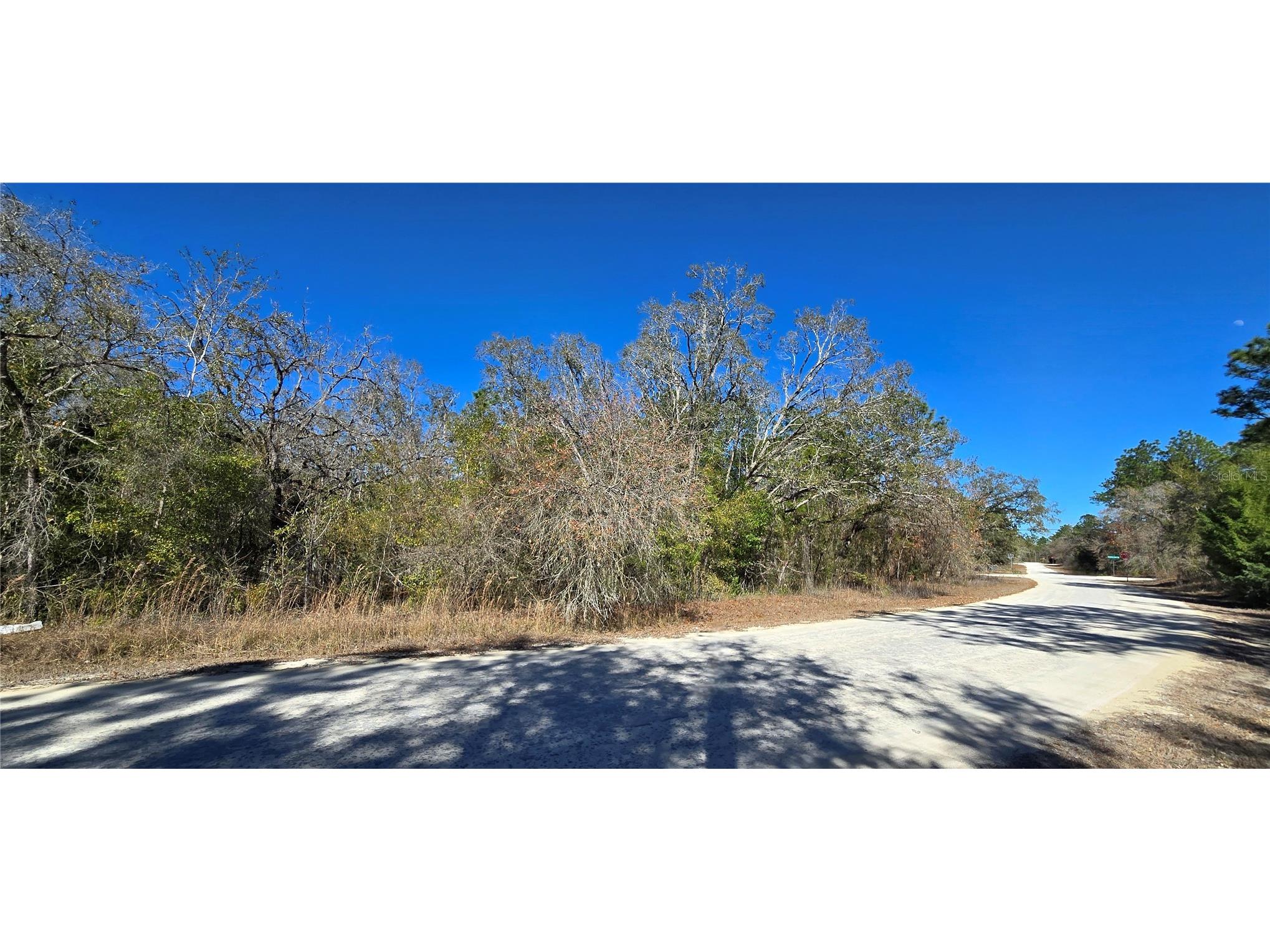 13231 Road Runner Avenue Weeki Wachee FL 34614 W7882487 image4