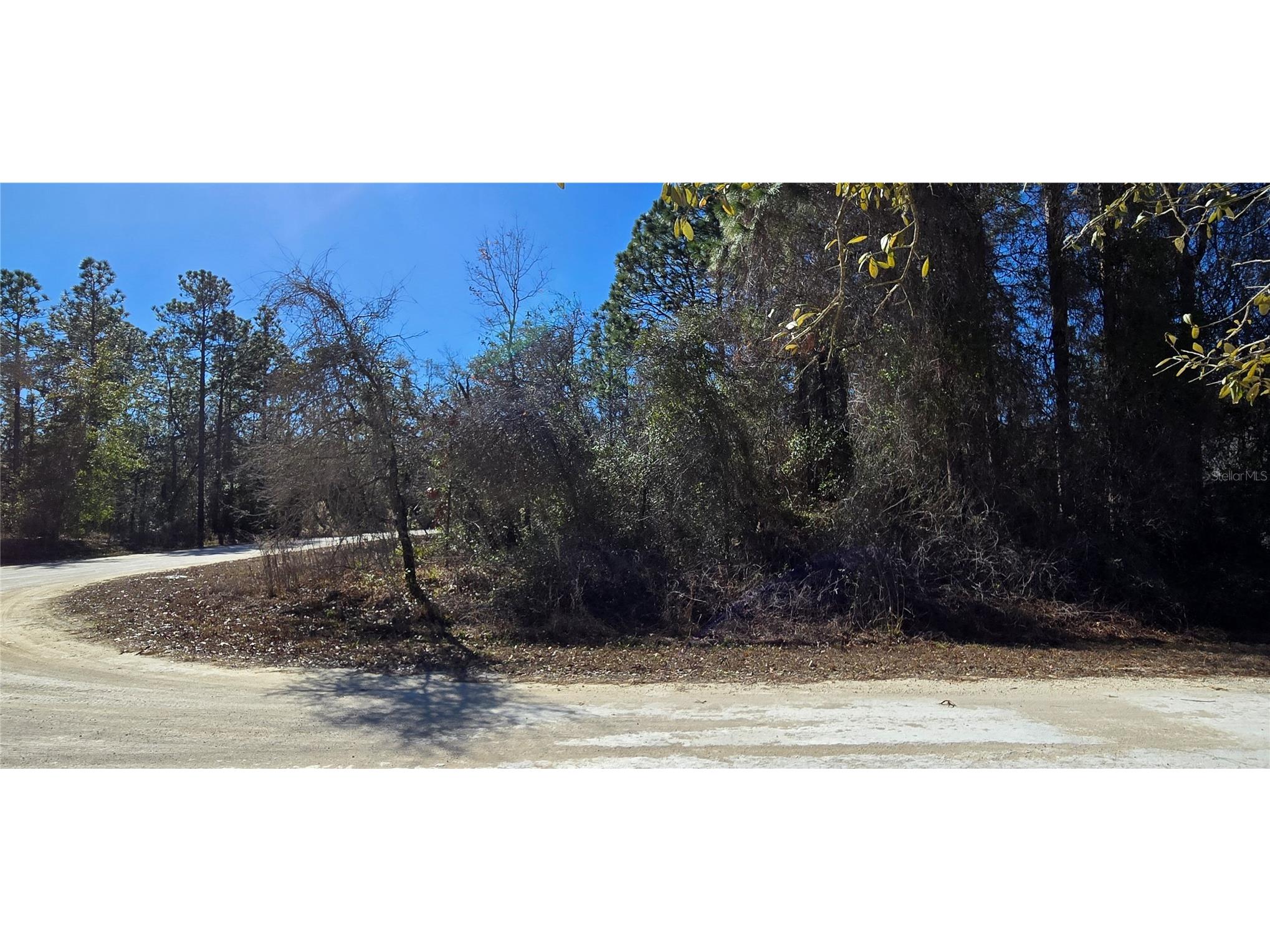 13231 Road Runner Avenue Weeki Wachee FL 34614 W7882487 image7