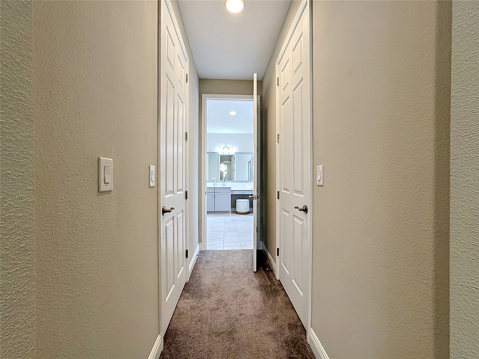 13231 Wildflower Meadow Drive Riverview FL 33579 TB8471089 image25