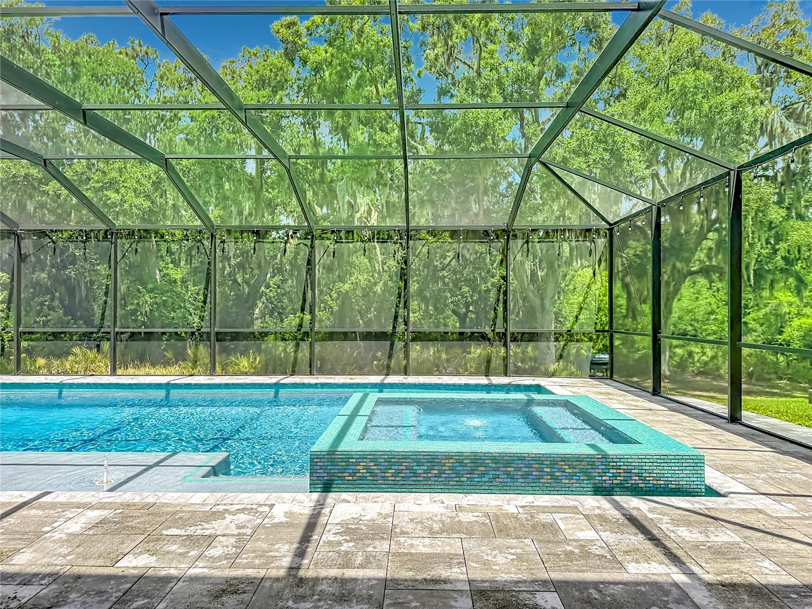13231 Wildflower Meadow Drive Riverview FL 33579 TB8471089 image33