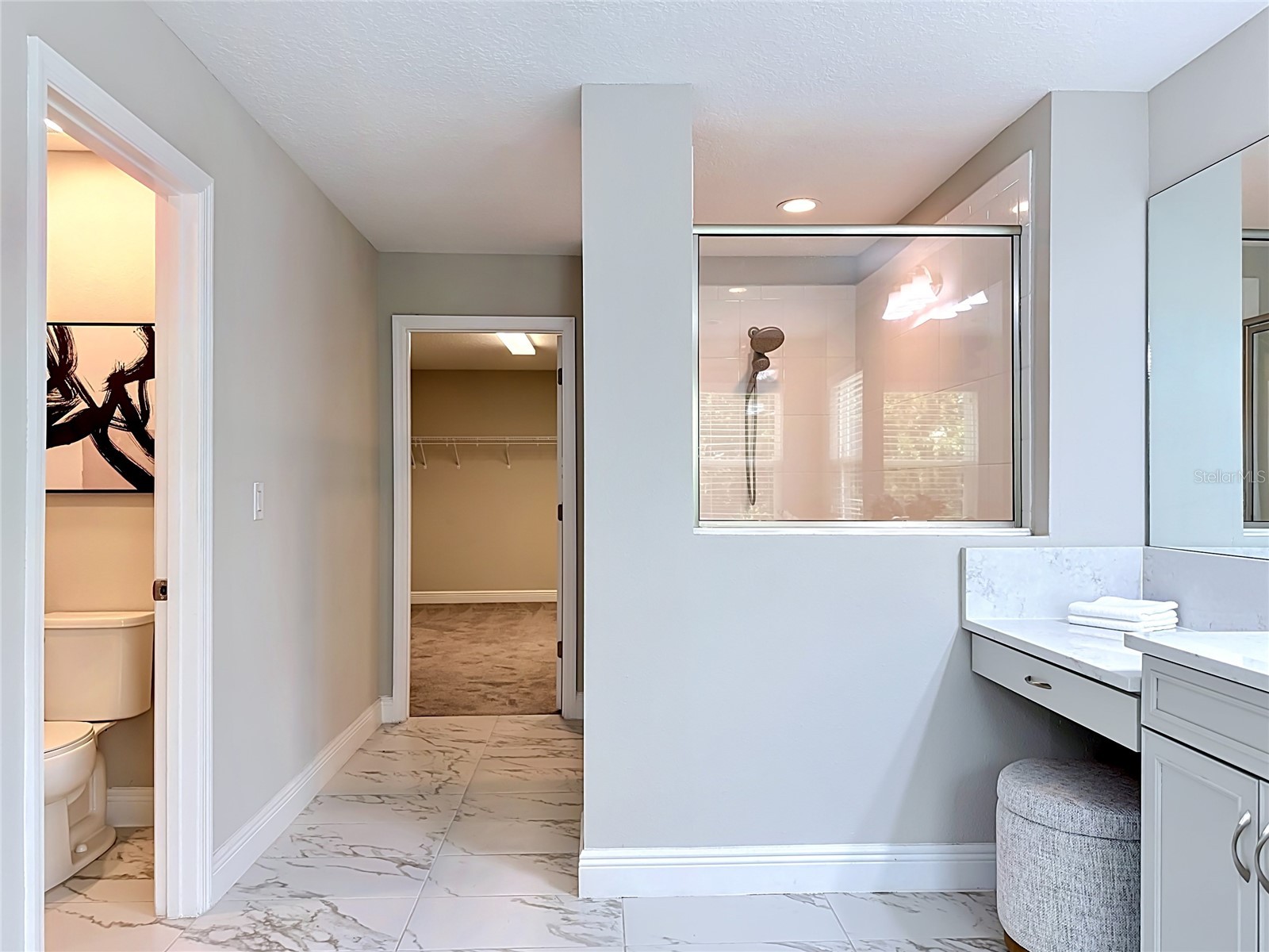 13231 Wildflower Meadow Drive Riverview FL 33579 TB8471089 image46