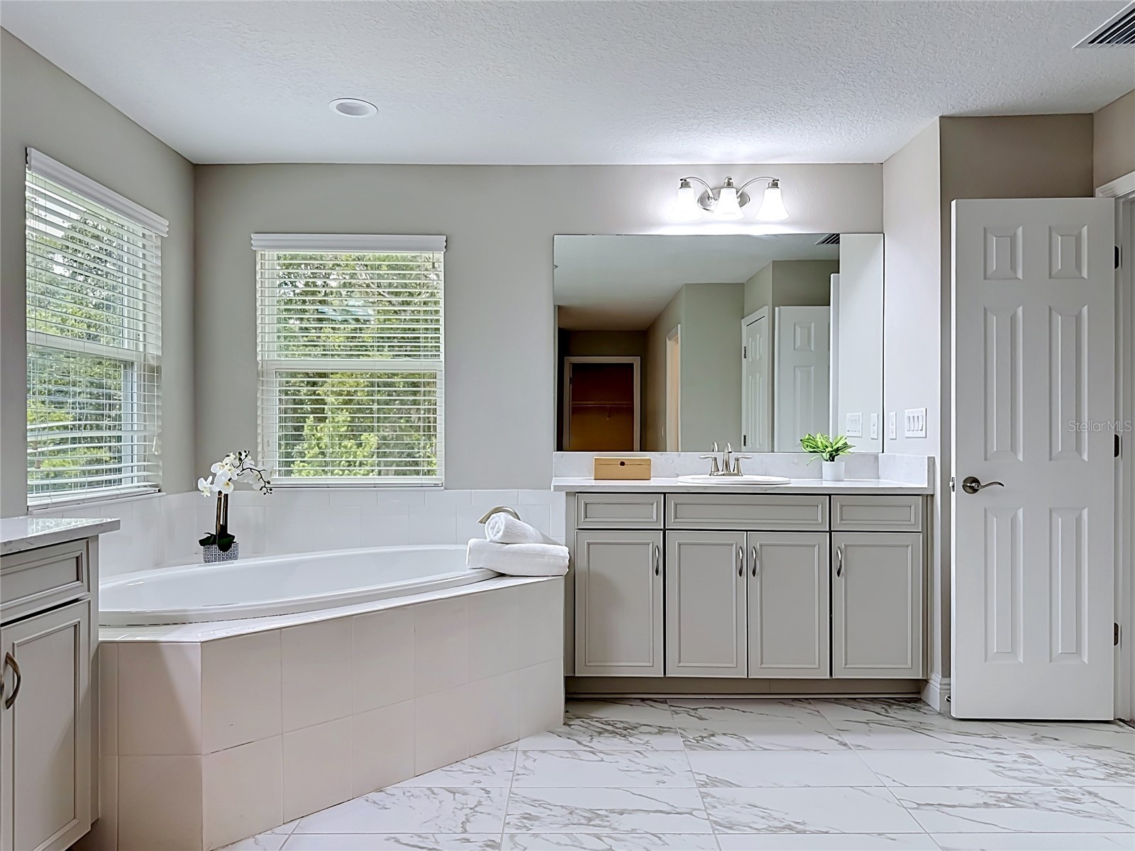 13231 Wildflower Meadow Drive Riverview FL 33579 TB8471089 image54