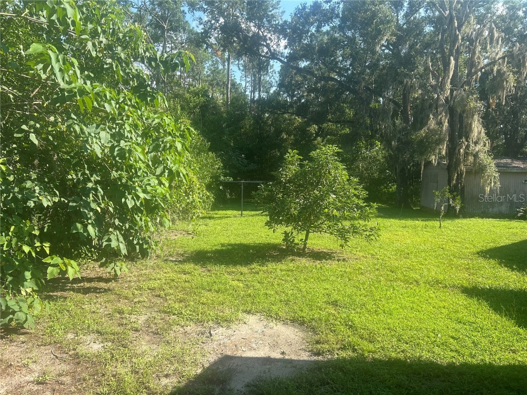 13232 Blissfield Road Odessa FL 33556 TB8423272 image4