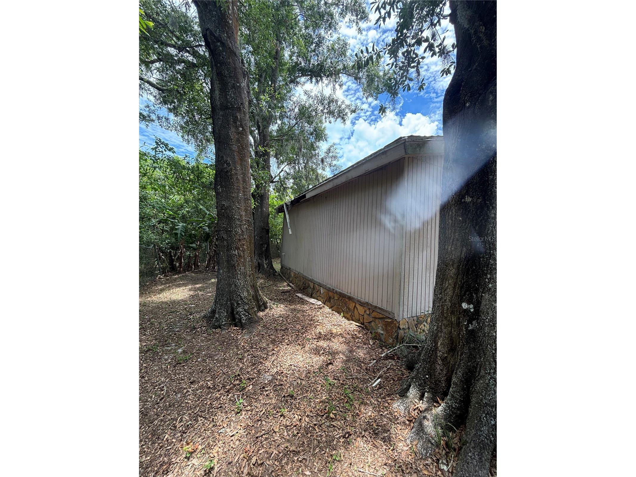 13232 Blissfield Road Odessa FL 33556 TB8520942 image11