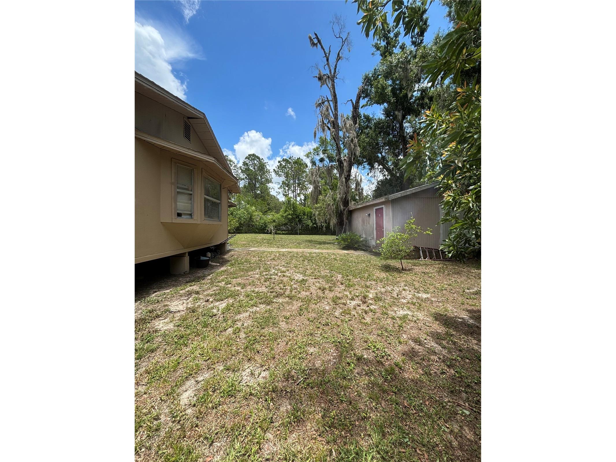 13232 Blissfield Road Odessa FL 33556 TB8520942 image15