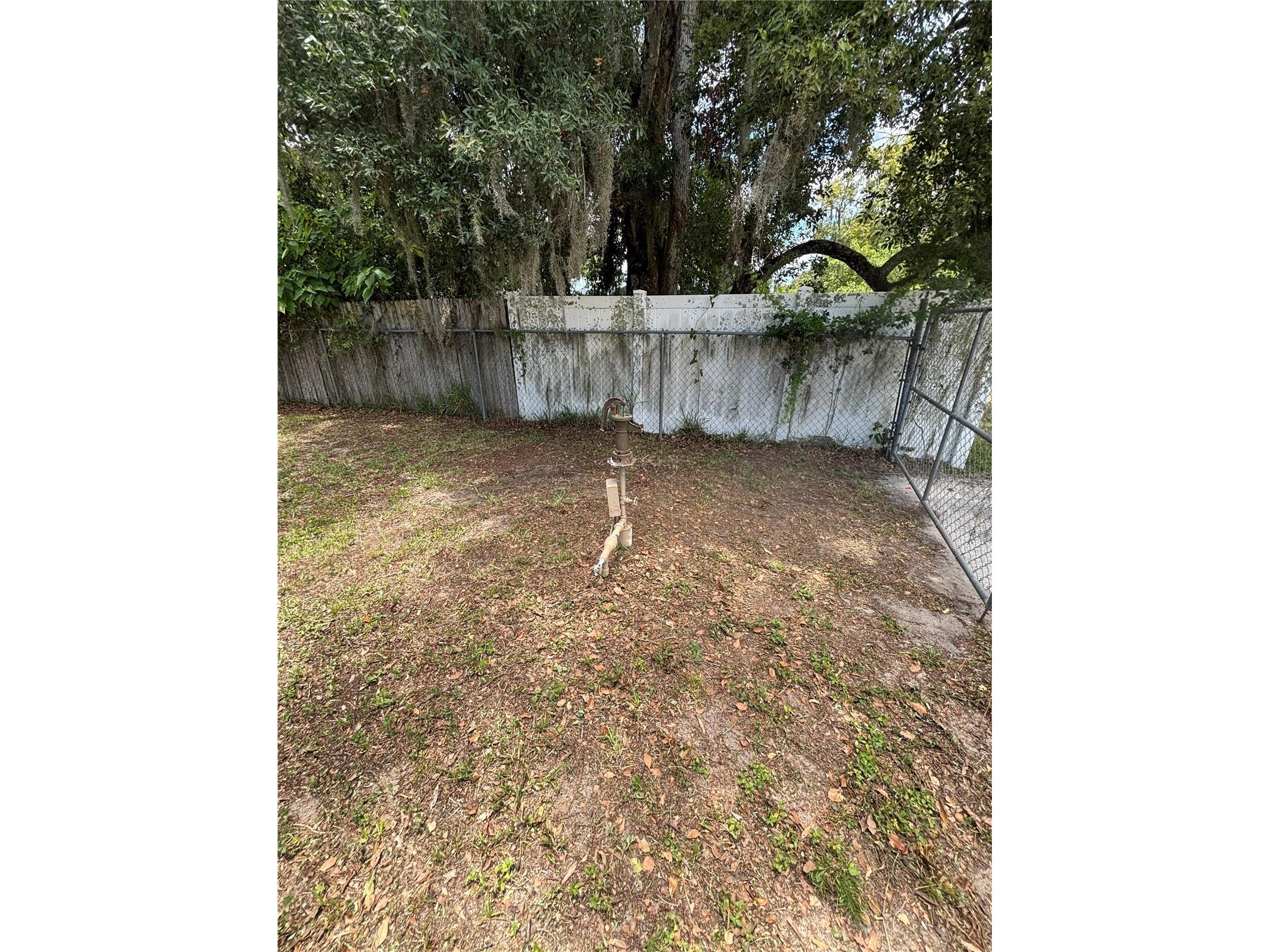 13232 Blissfield Road Odessa FL 33556 TB8520942 image23
