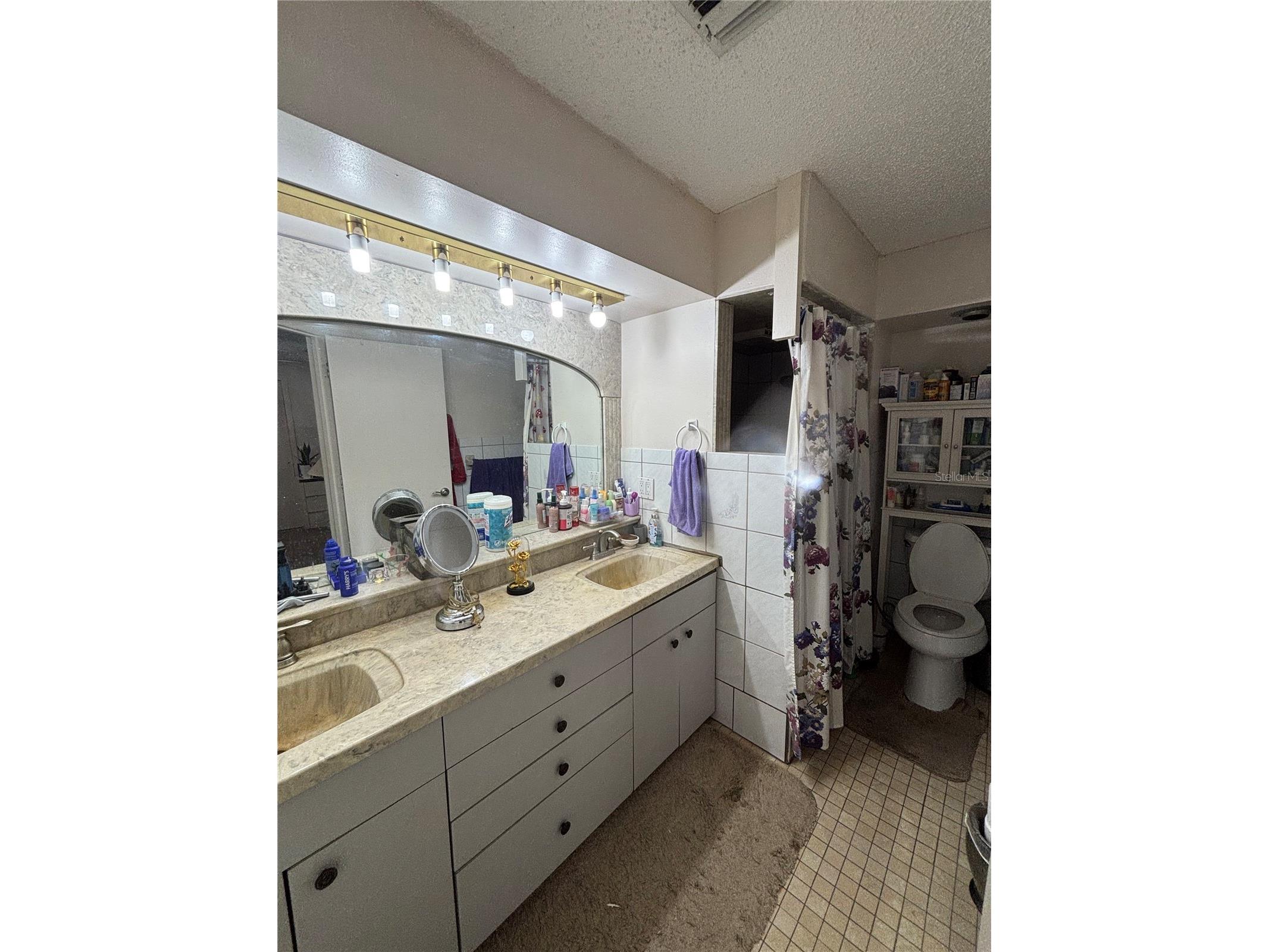 13232 Blissfield Road Odessa FL 33556 TB8520942 image31