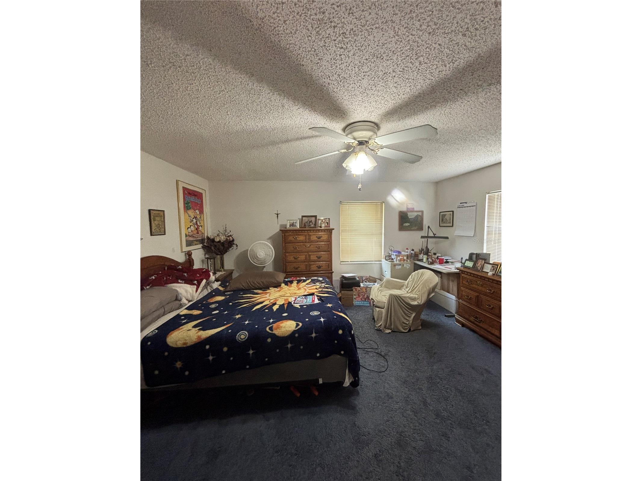 13232 Blissfield Road Odessa FL 33556 TB8520942 image32