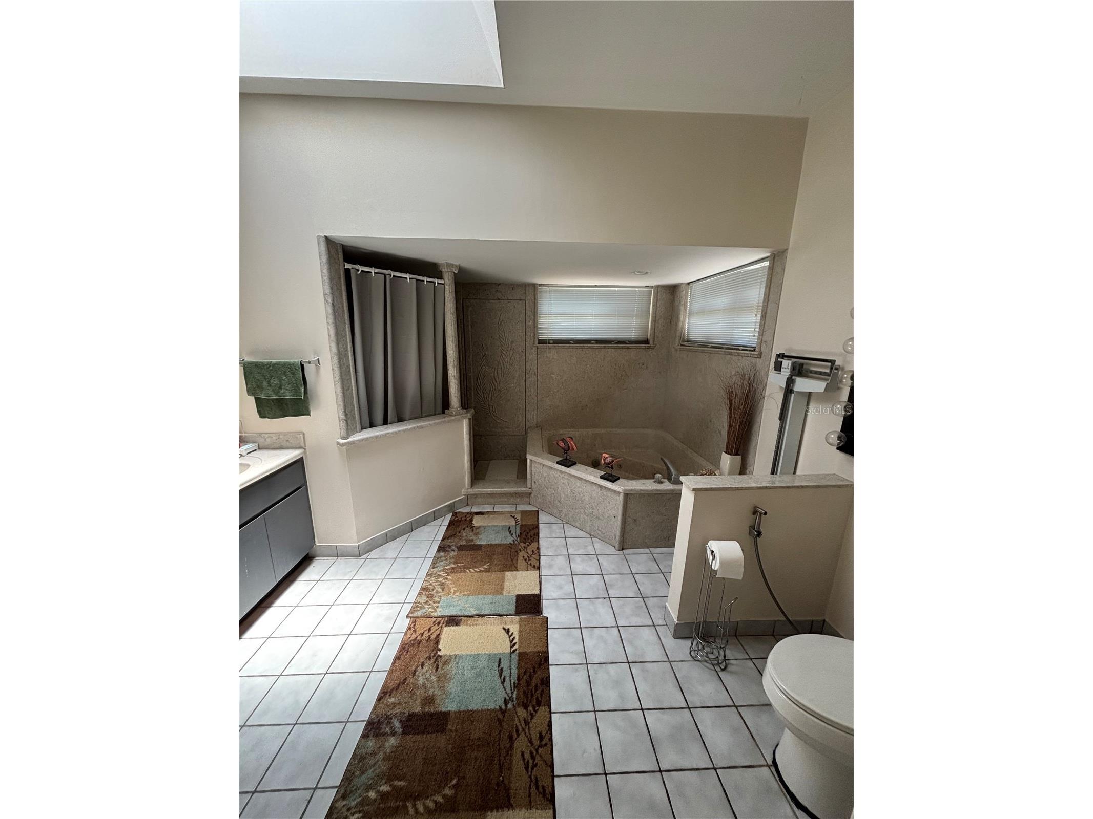 13232 Blissfield Road Odessa FL 33556 TB8520942 image33