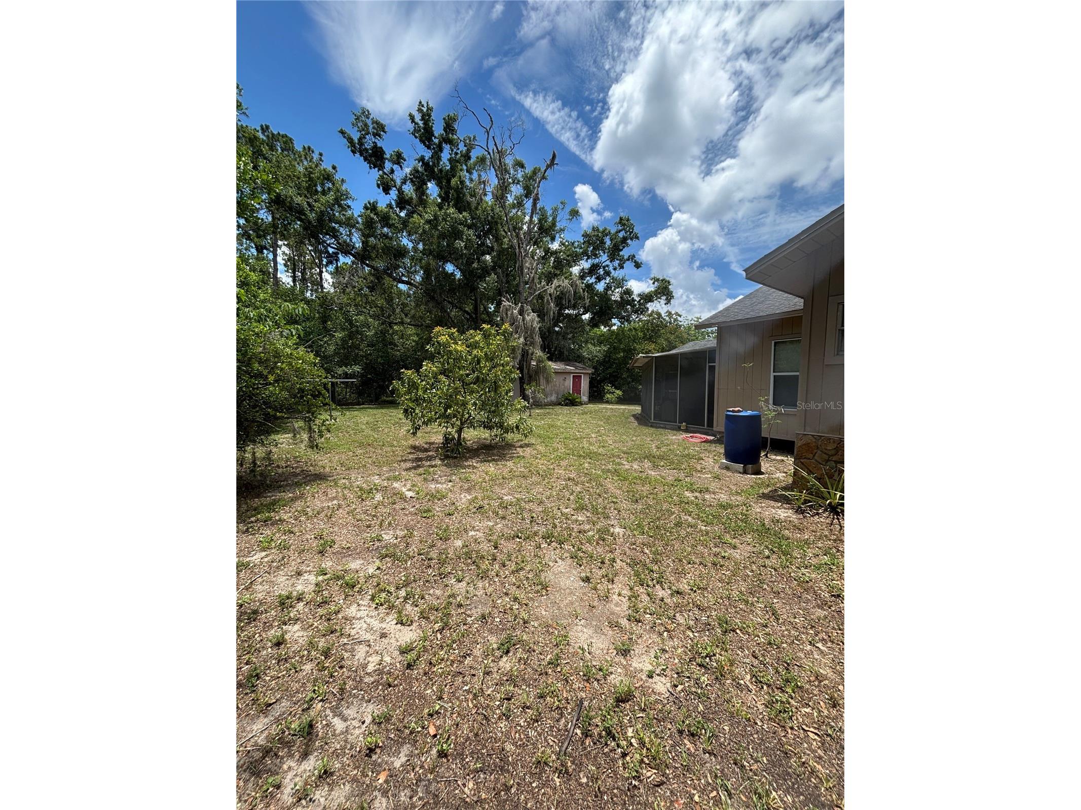 13232 Blissfield Road Odessa FL 33556 TB8520942 image7