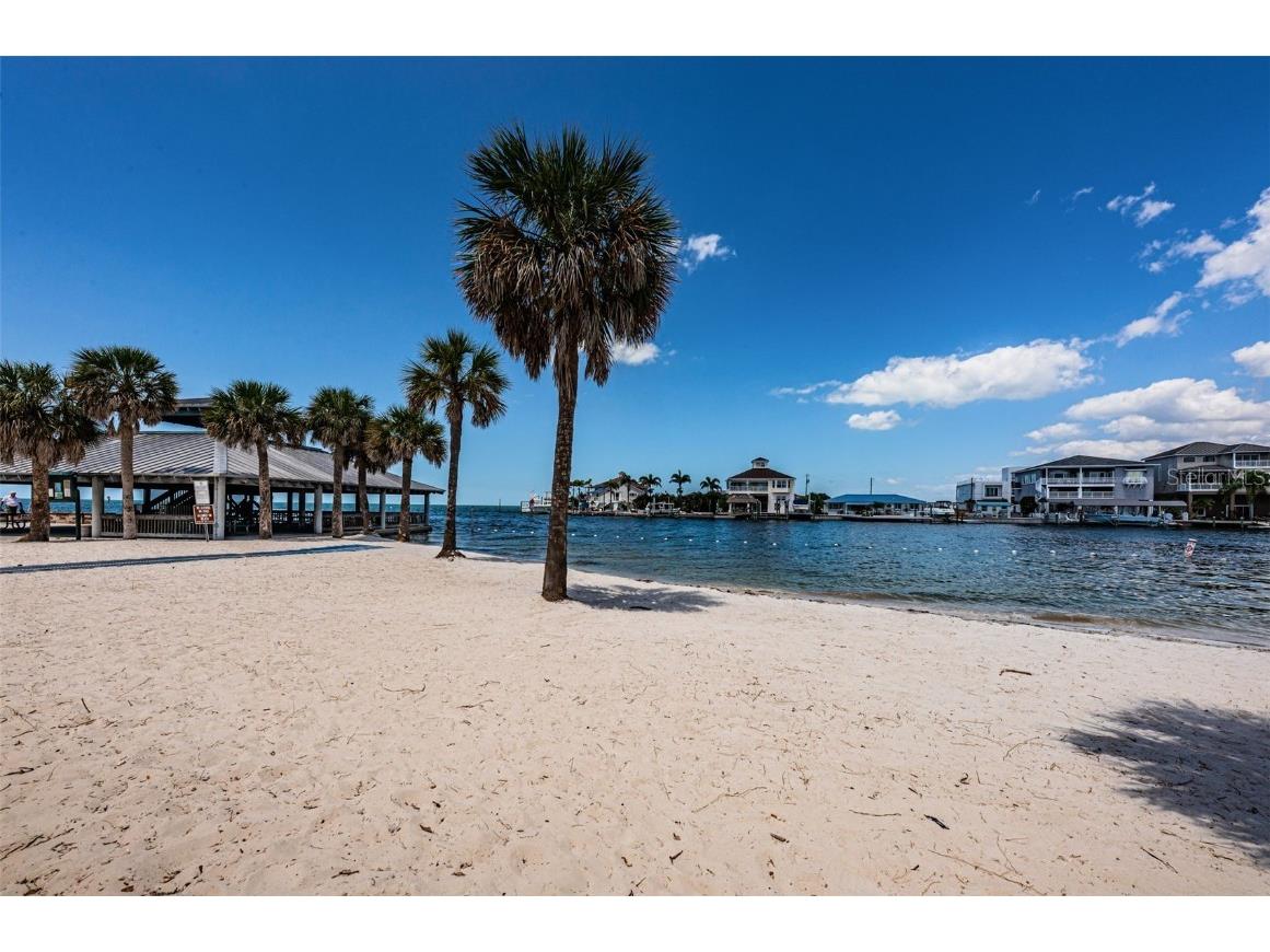 13232 Carol Drive Hudson FL 34667 TB8398312 image51