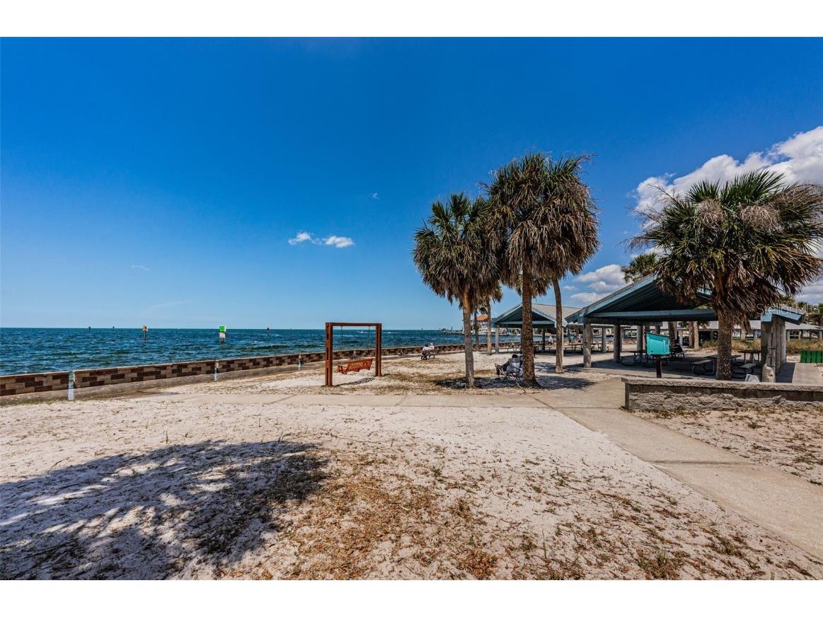 13232 Carol Drive Hudson FL 34667 TB8398312 image60