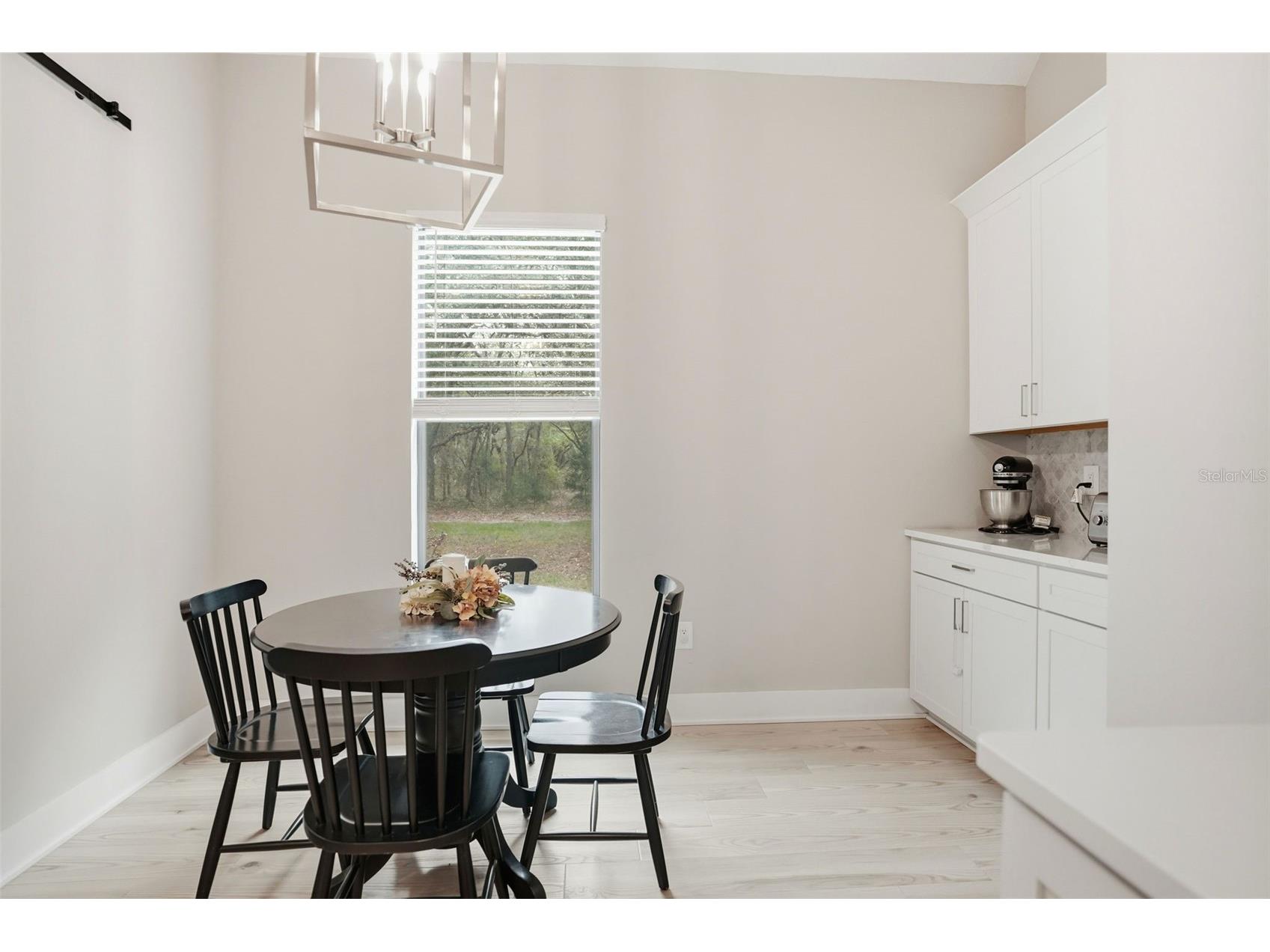 13232 Oldenburg Drive Hudson FL 34667 W7884399 image47