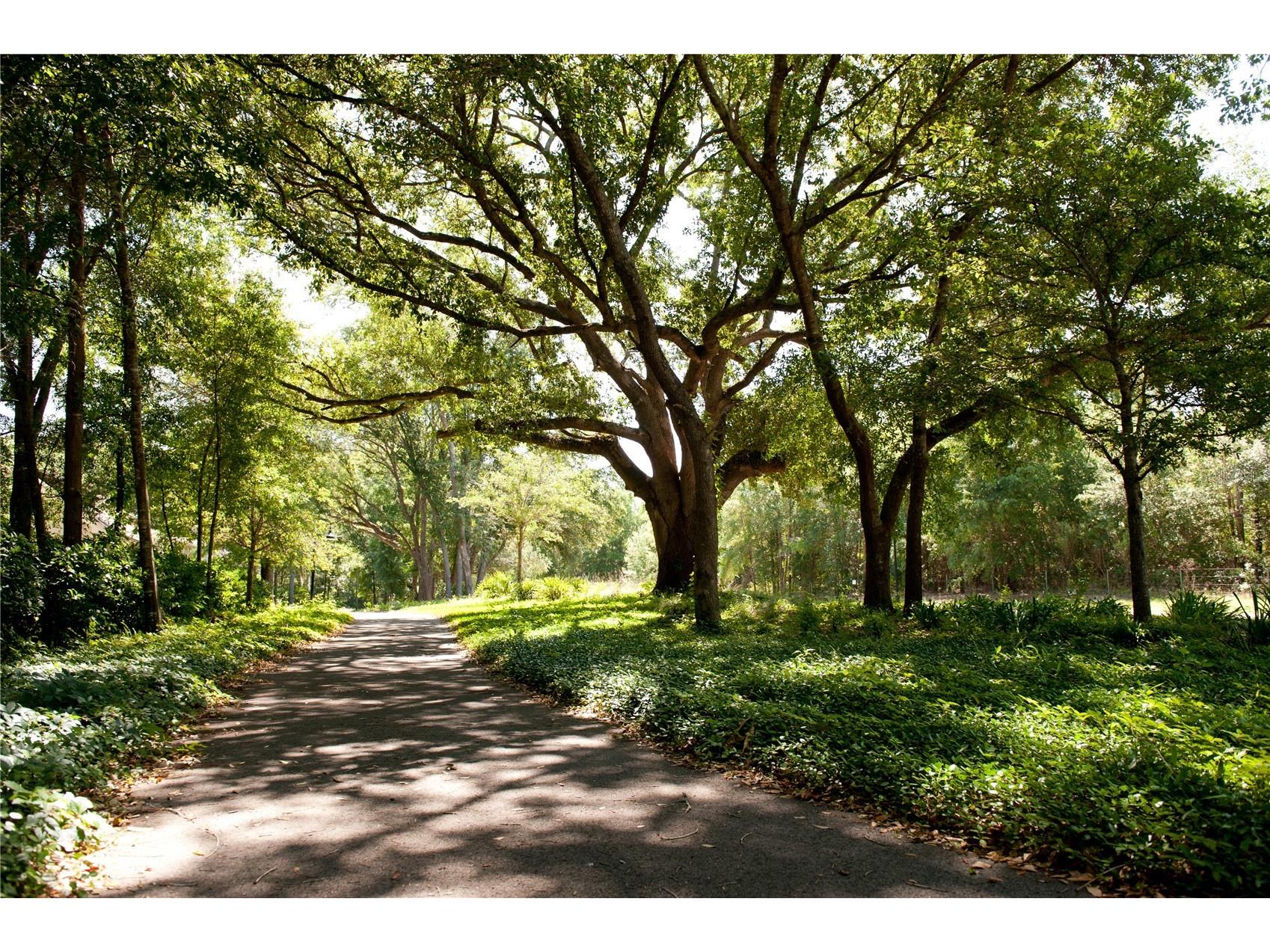 13233 SW 11 Road Newberry FL 32669 GC539521 image44