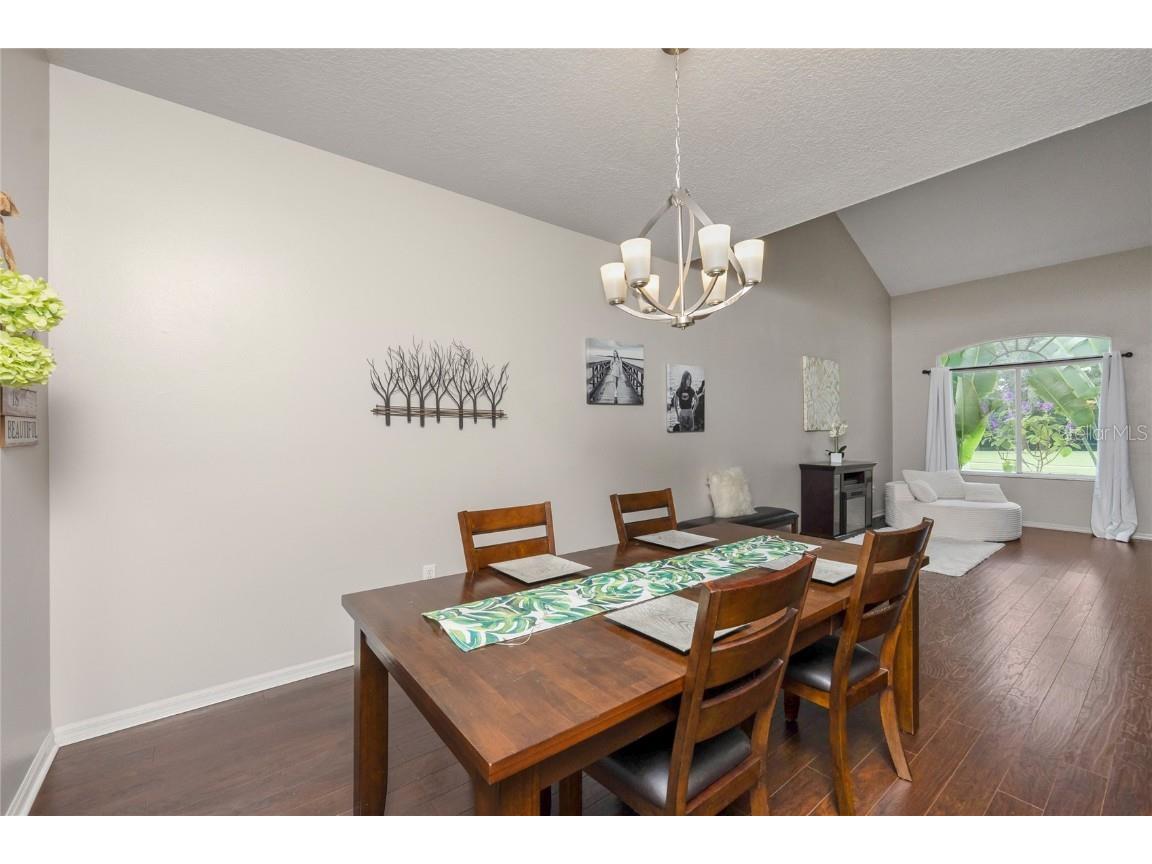 13234 Royal George Avenue Odessa FL 33556 TB8424389 image21