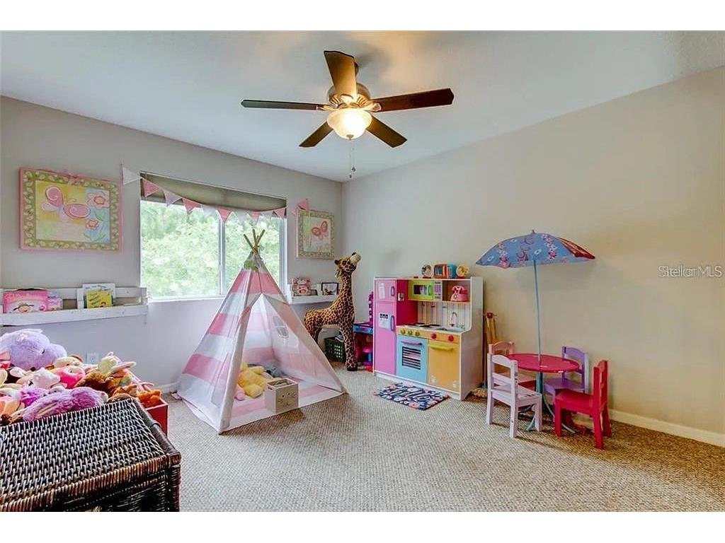 13234 Royal George Avenue Odessa FL 33556 TB8424389 image35