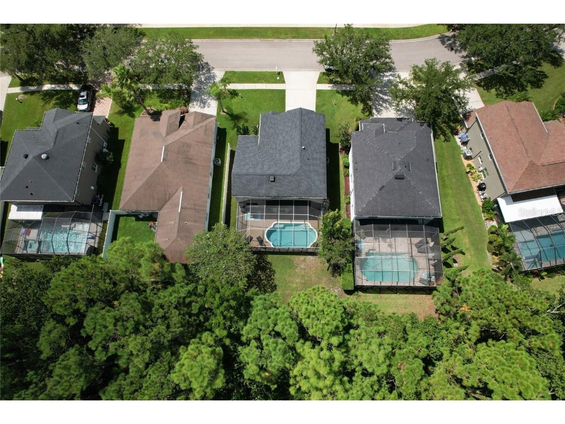 13234 Royal George Avenue Odessa FL 33556 TB8424389 image4