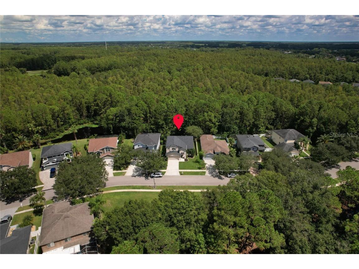 13234 Royal George Avenue Odessa FL 33556 TB8424389 image5