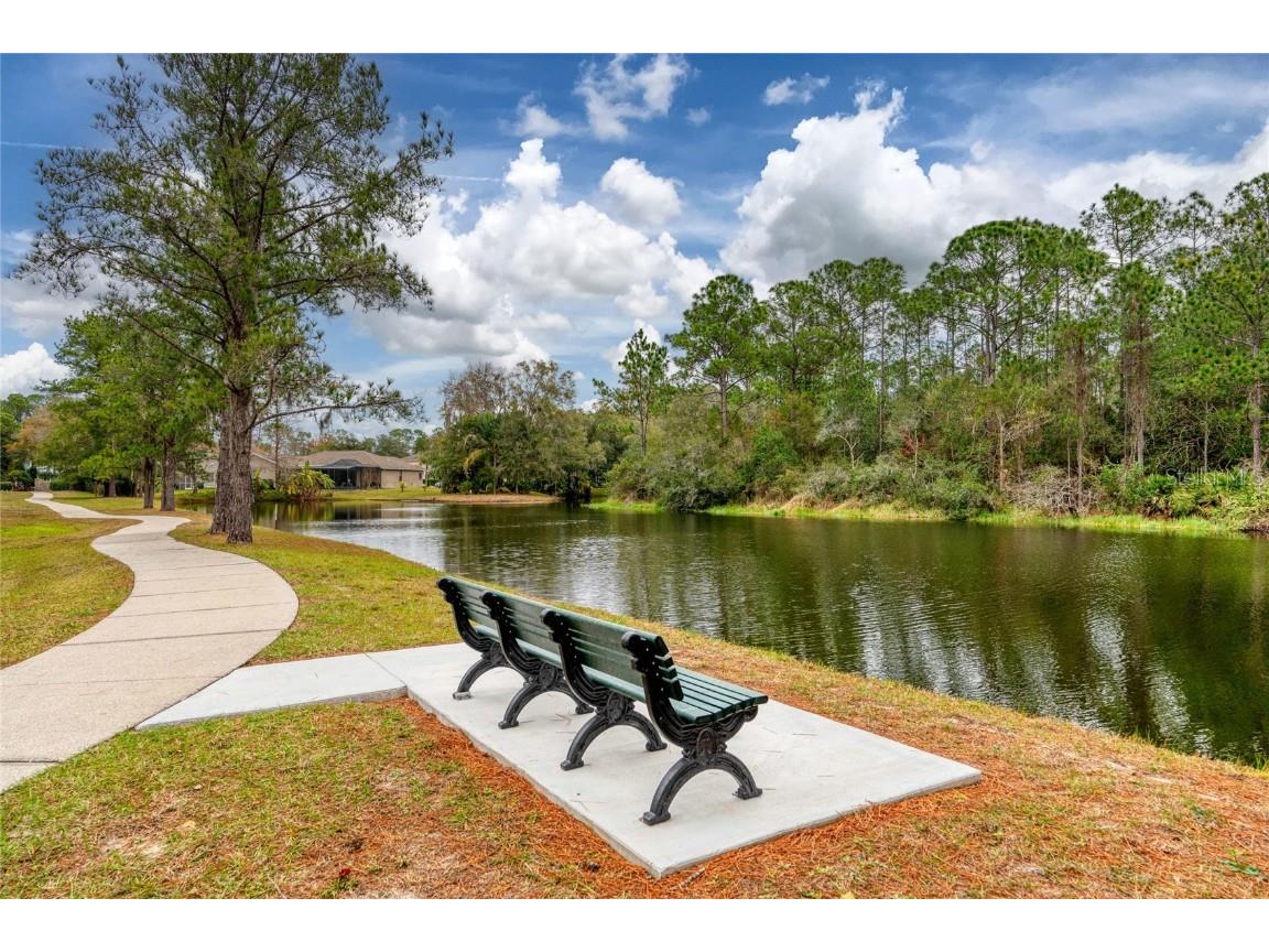 13234 Royal George Avenue Odessa FL 33556 TB8424389 image58