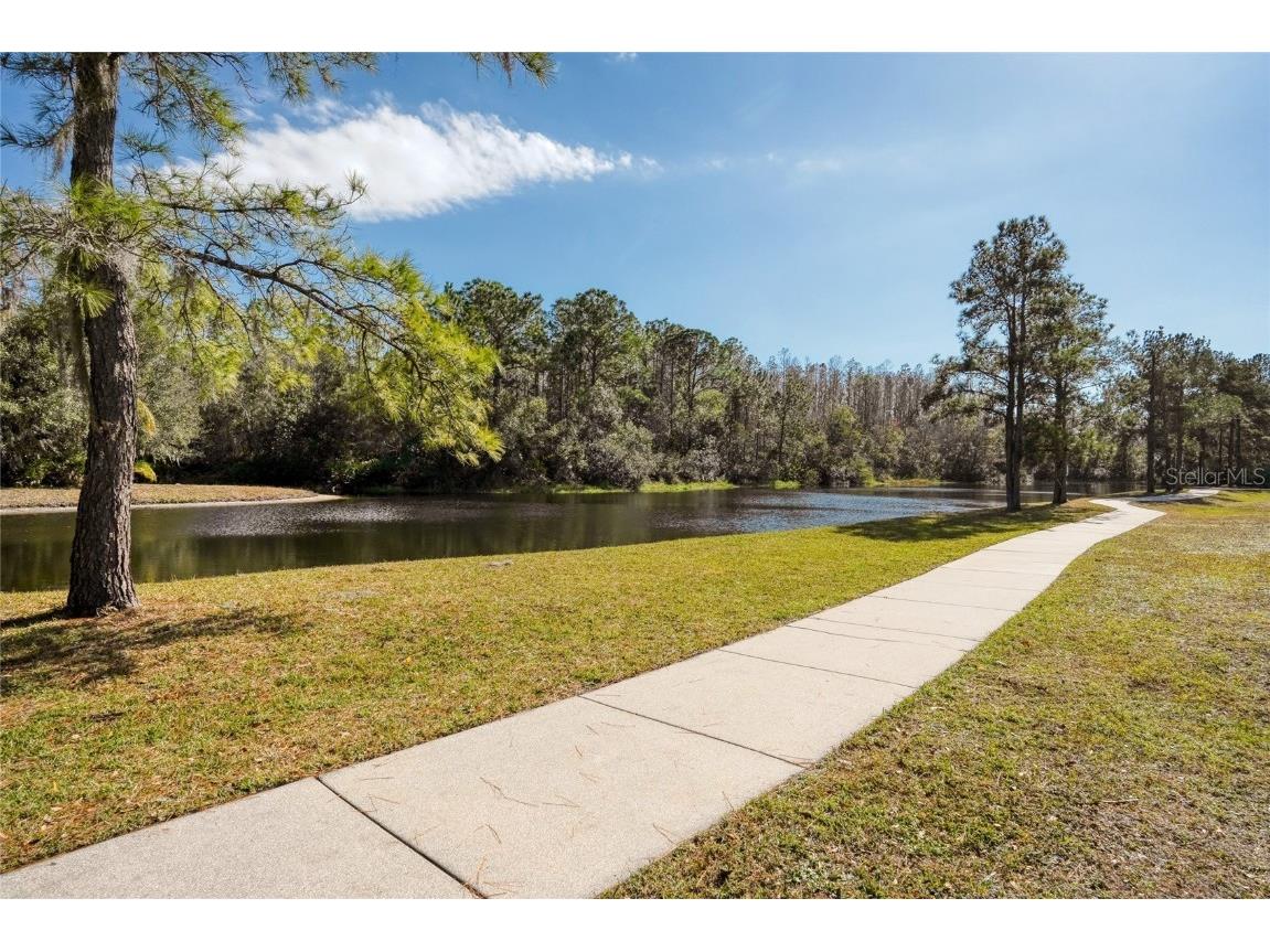 13234 Royal George Avenue Odessa FL 33556 TB8424389 image59