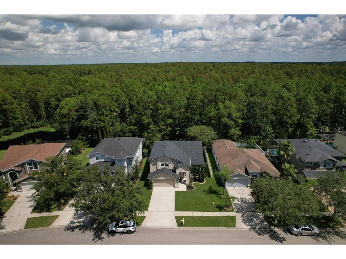 13234 Royal George Avenue Odessa FL 33556 TB8424389 image7