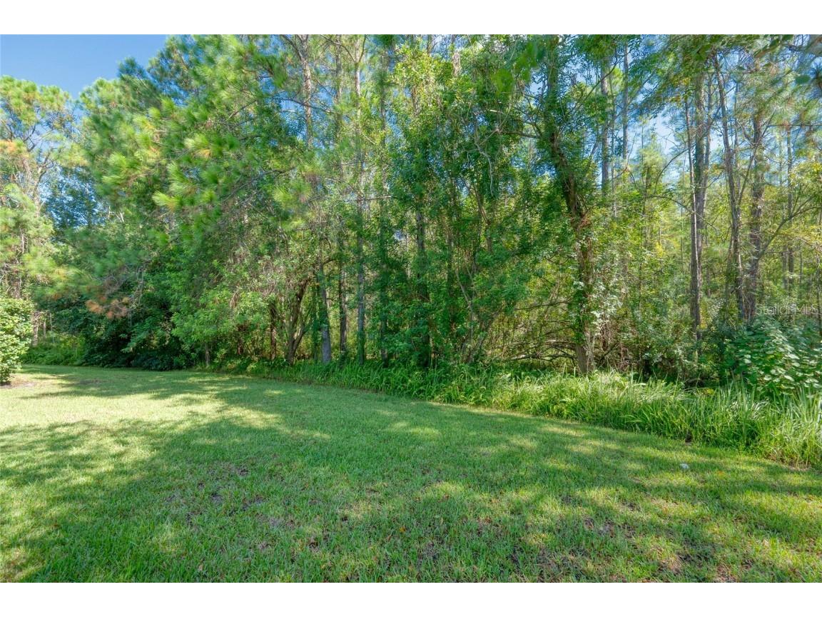 13234 Royal George Avenue Odessa FL 33556 TB8424389 image8