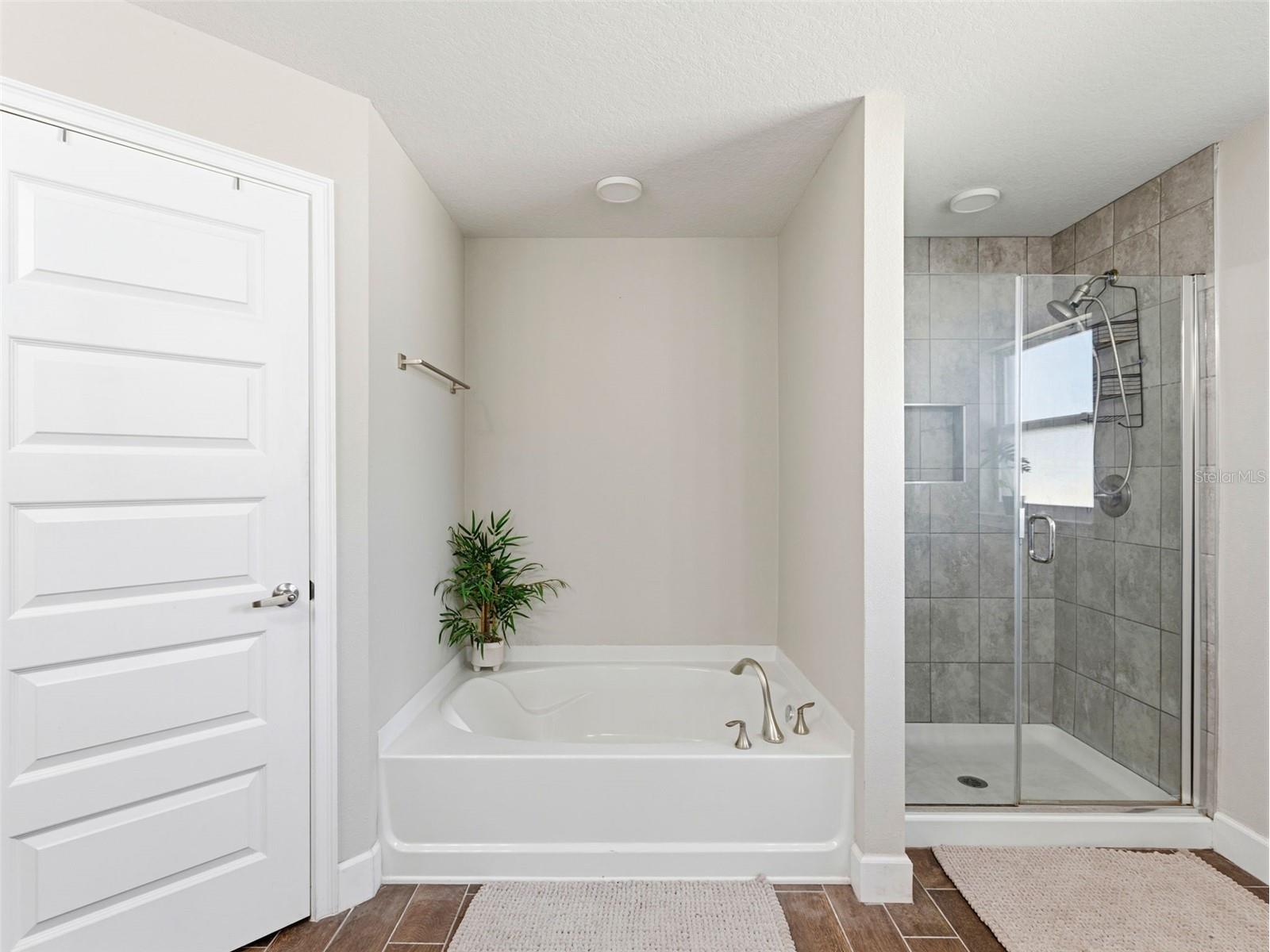 13234 Summerfield Way Dade City FL 33525 TB8494518 image22