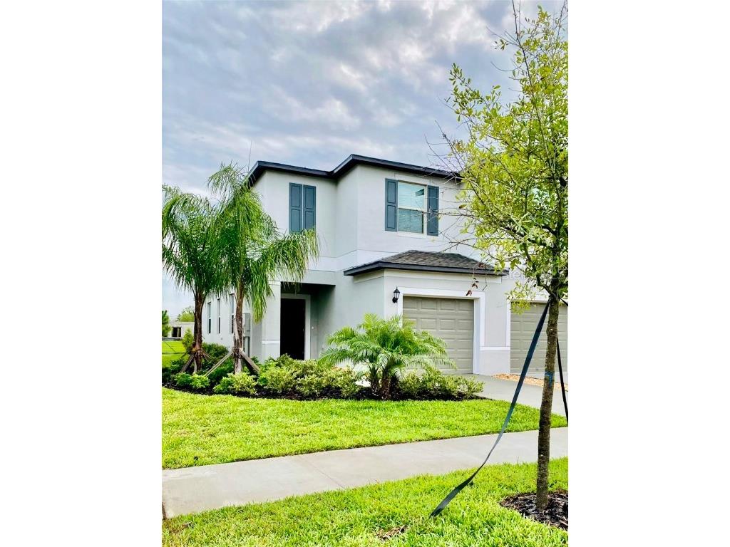 13235 Dupree Hills Place Riverview FL 33579 T3543444 image1