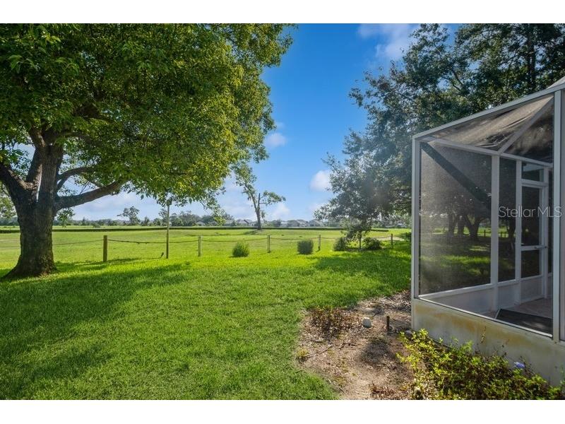 13235 Golf Ridge Place Hudson FL 34669 P4935763 image34