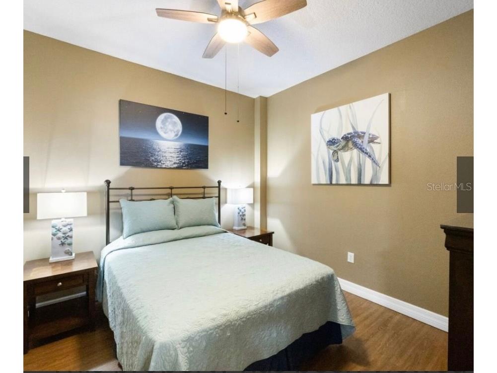 13235 Gulf Boulevard #315 Madeira Beach FL 33708 TB8444327 image14