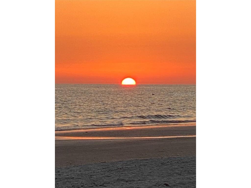 13235 Gulf Boulevard #315 Madeira Beach FL 33708 TB8444327 image22