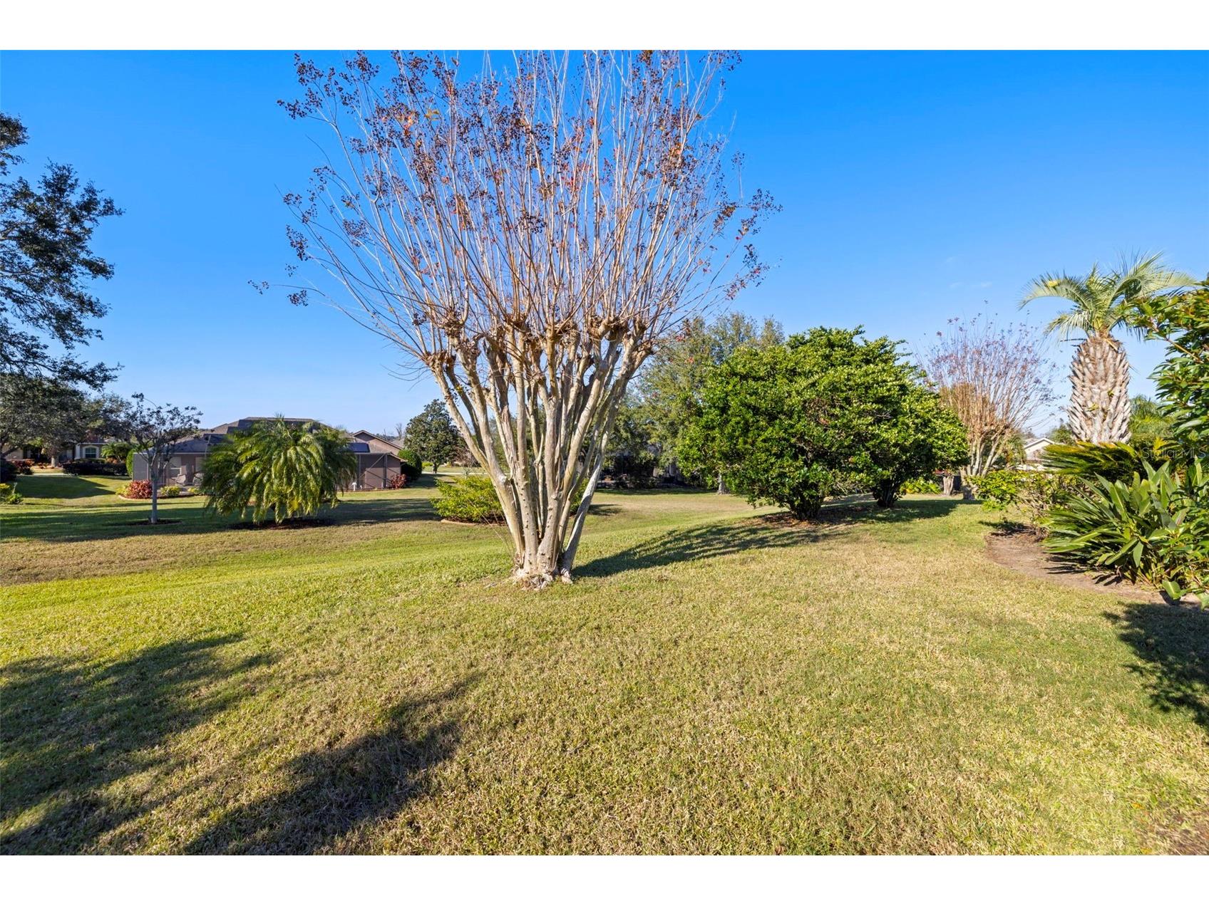 13235 Legends Trail Dade City FL 33525 W7883013 image43