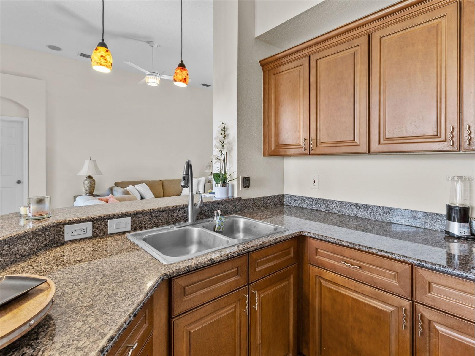 13235 Palmilla Circle Dade City FL 33525 TB8466333 image10