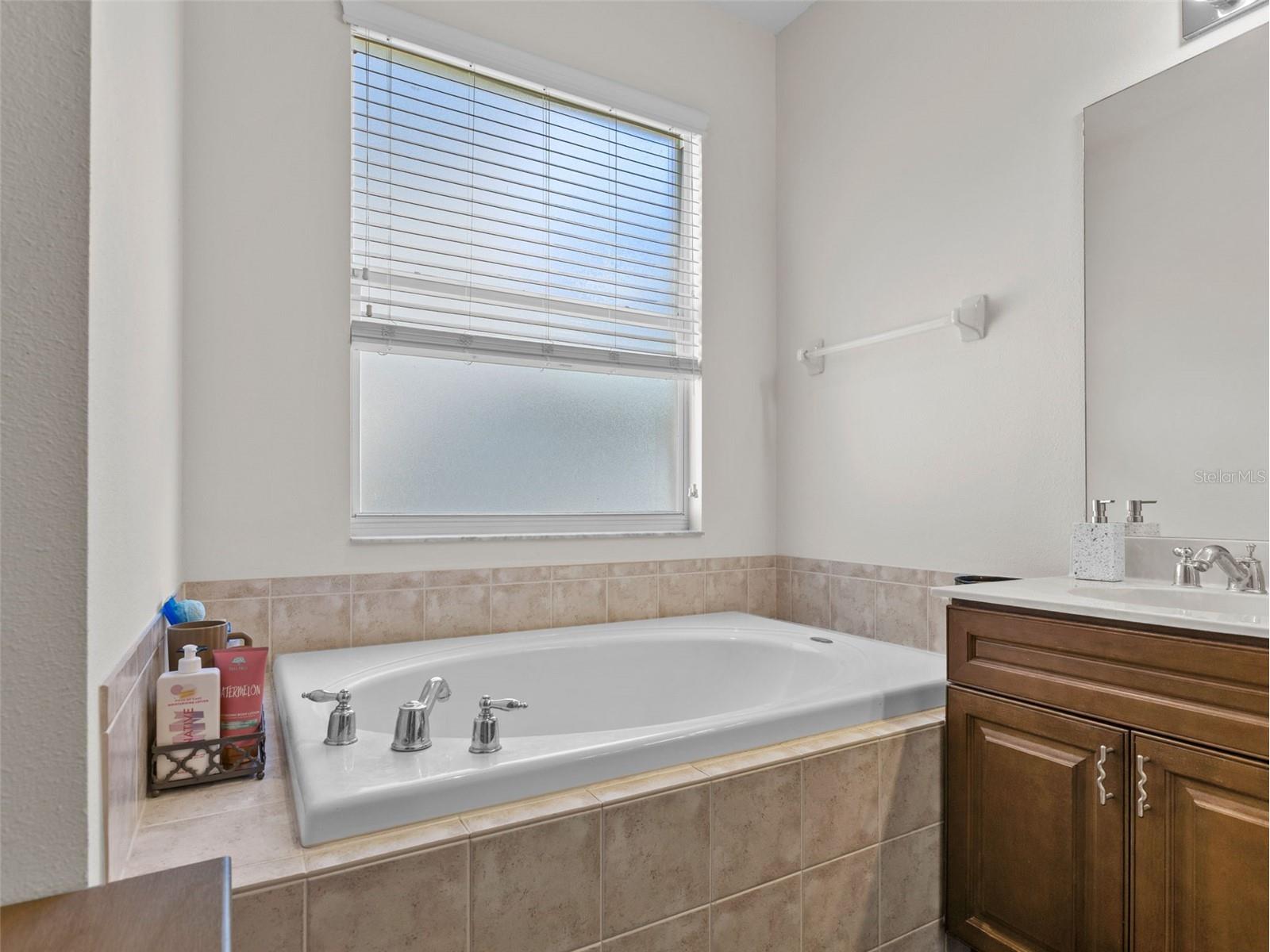 13235 Palmilla Circle Dade City FL 33525 TB8466333 image19
