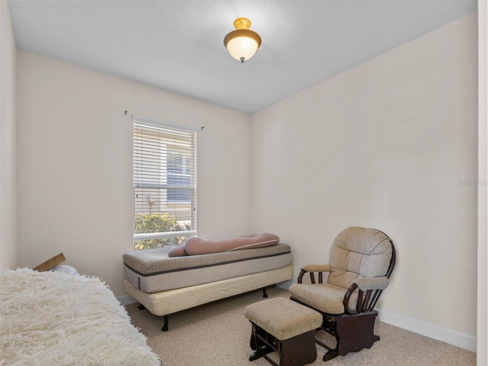 13235 Palmilla Circle Dade City FL 33525 TB8466333 image23