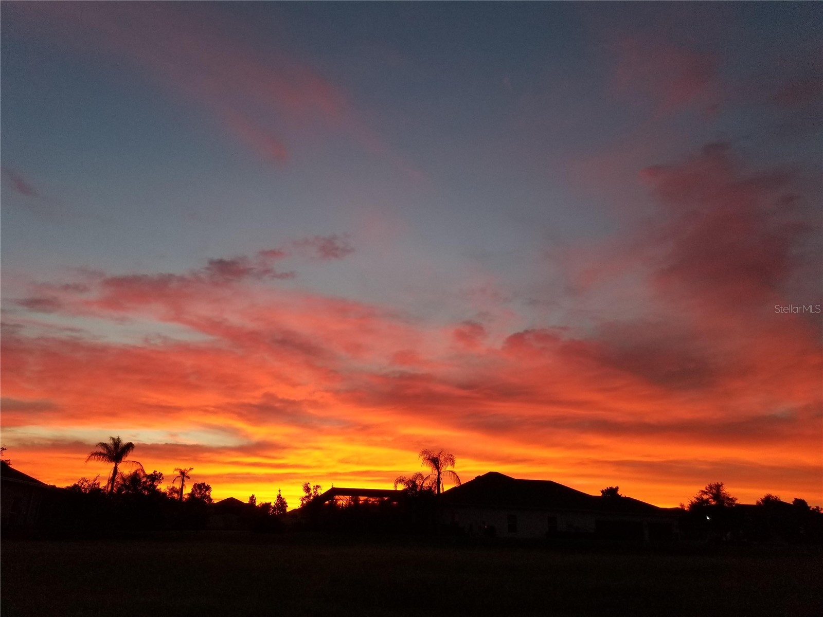 13235 Palmilla Circle Dade City FL 33525 TB8466333 image35
