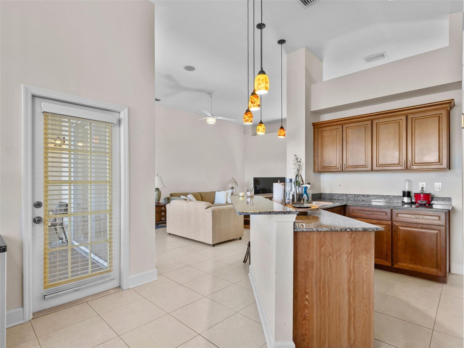 13235 Palmilla Circle Dade City FL 33525 TB8466333 image9
