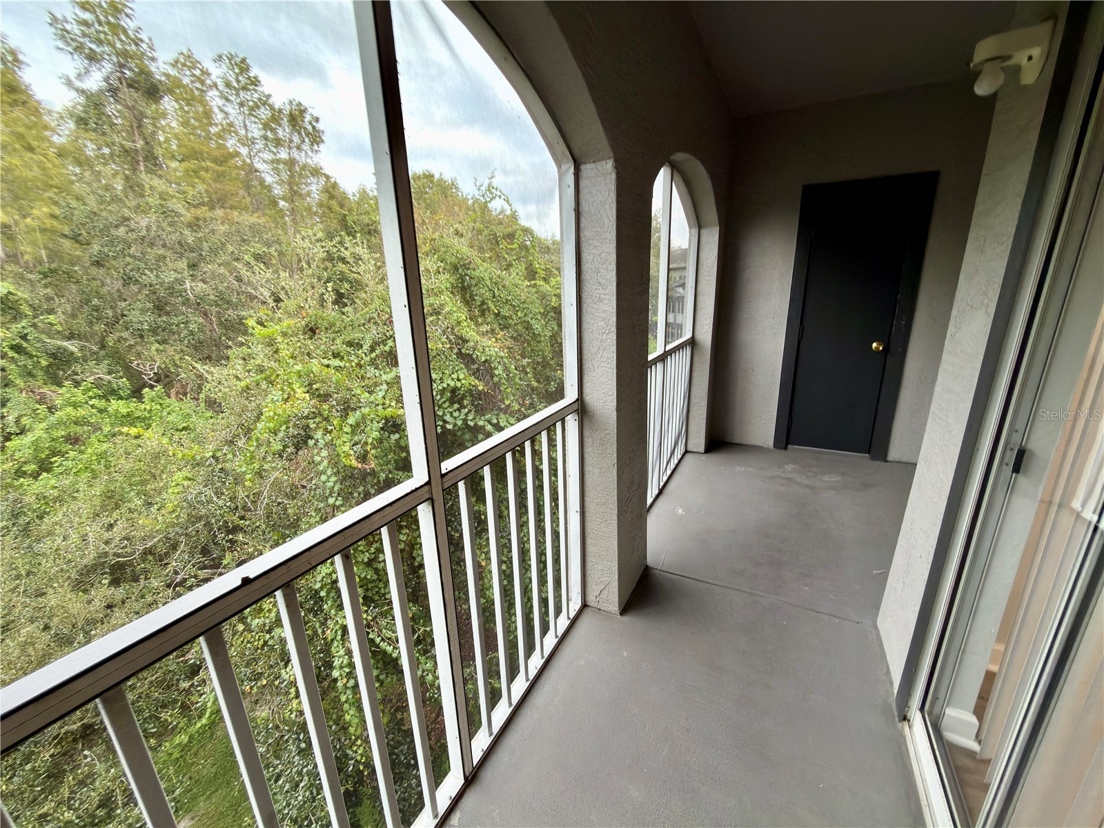13235 Sanctuary Cove Drive #303 Temple Terrace FL 33637 TB8484345 image11