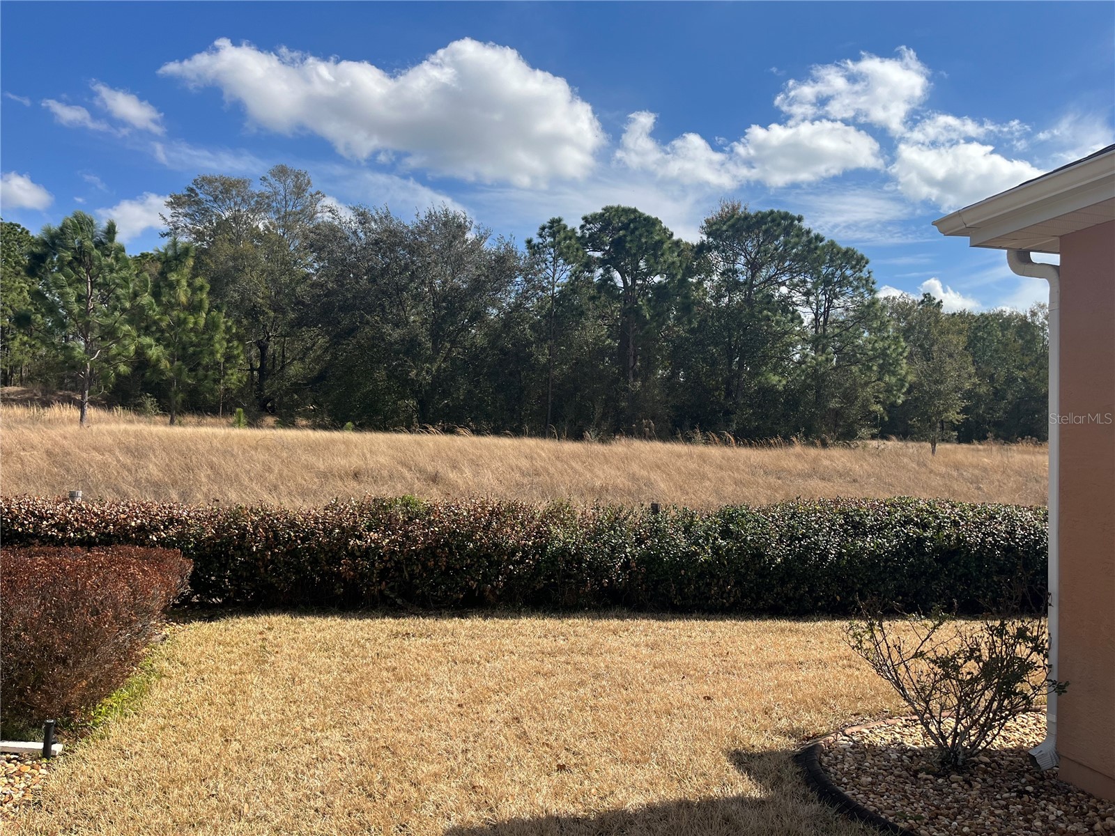 13235 SE 97th Terrace Road Summerfield FL 34491 OM713351 image20