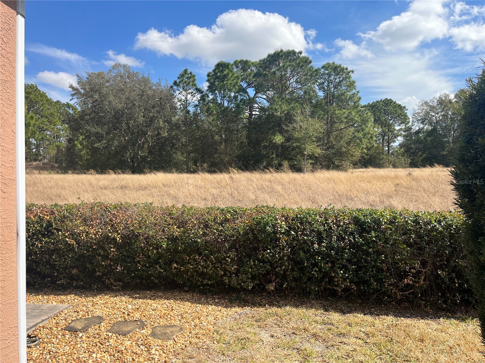 13235 SE 97th Terrace Road Summerfield FL 34491 OM713351 image21