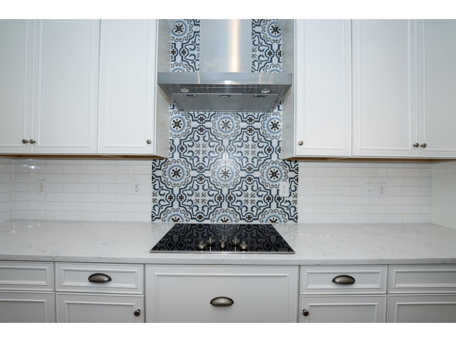13235 Wildflower Meadow Drive Riverview FL 33579 TB8504191 image15