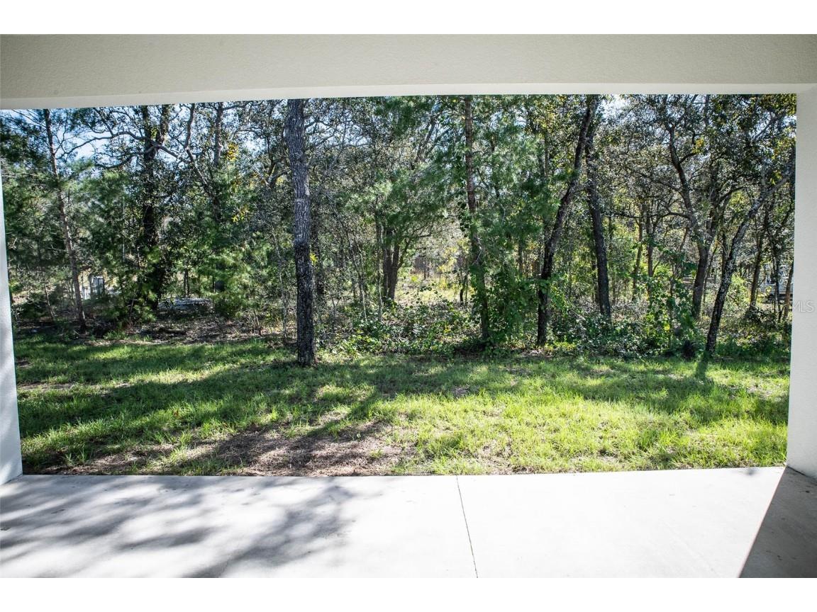 13236 Kildeer Road Weeki Wachee FL 34614 TB8436604 image33