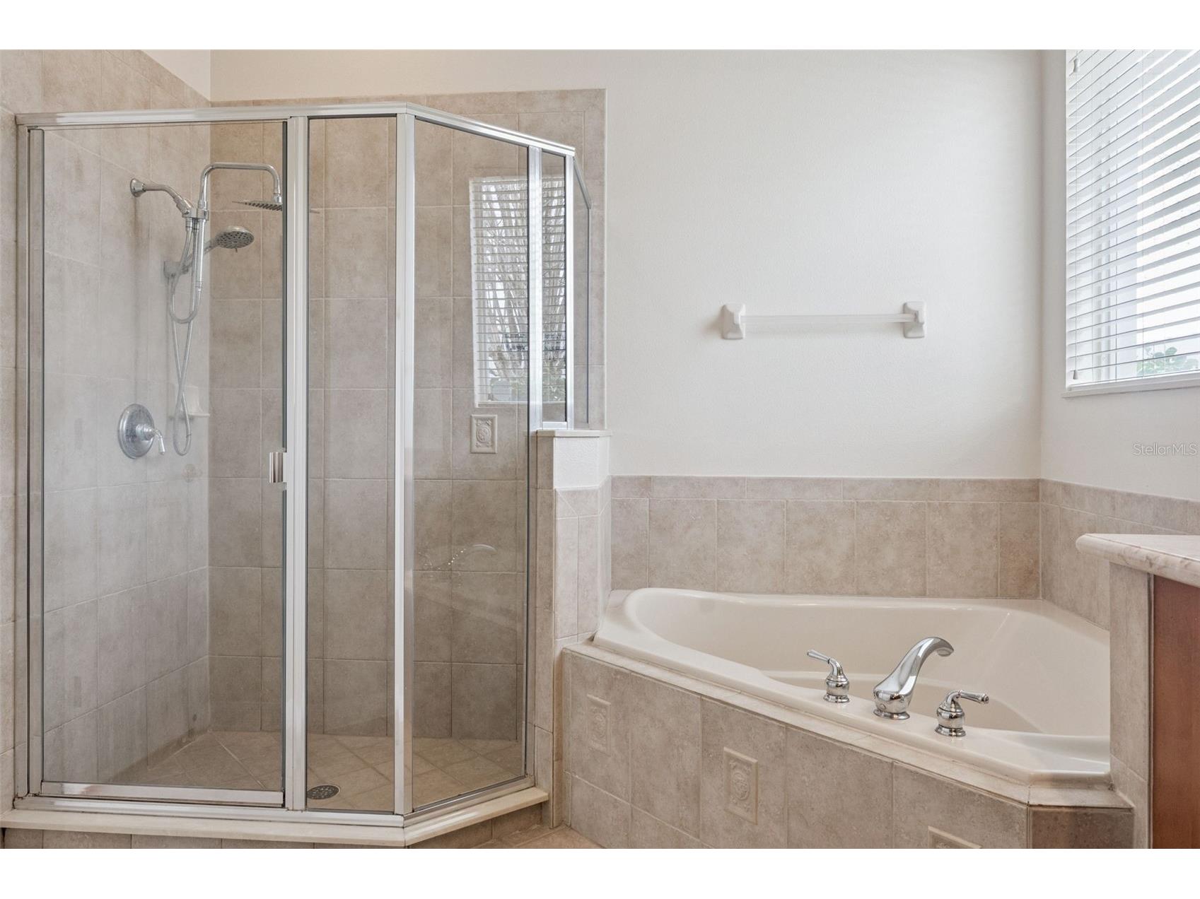 13237 Fossick Road Windermere FL 34786 O6382389 image18
