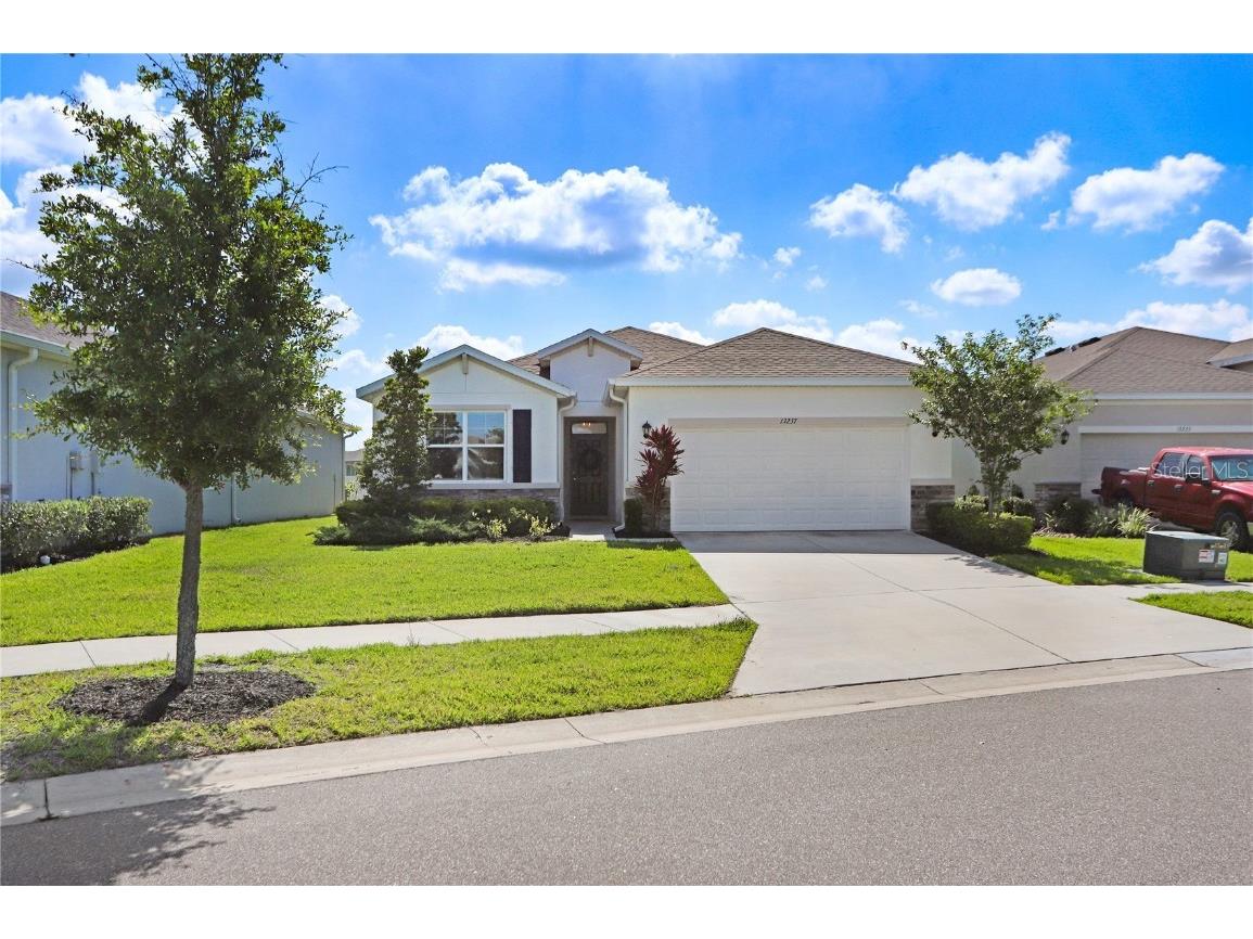 13237 Waterleaf Garden Circle Riverview FL 33579 T3447947 image1